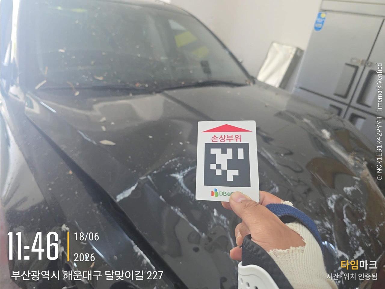 챠량이미지