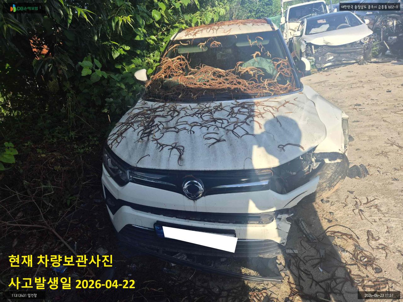 챠량이미지
