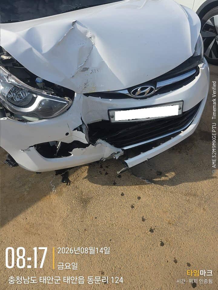 챠량이미지