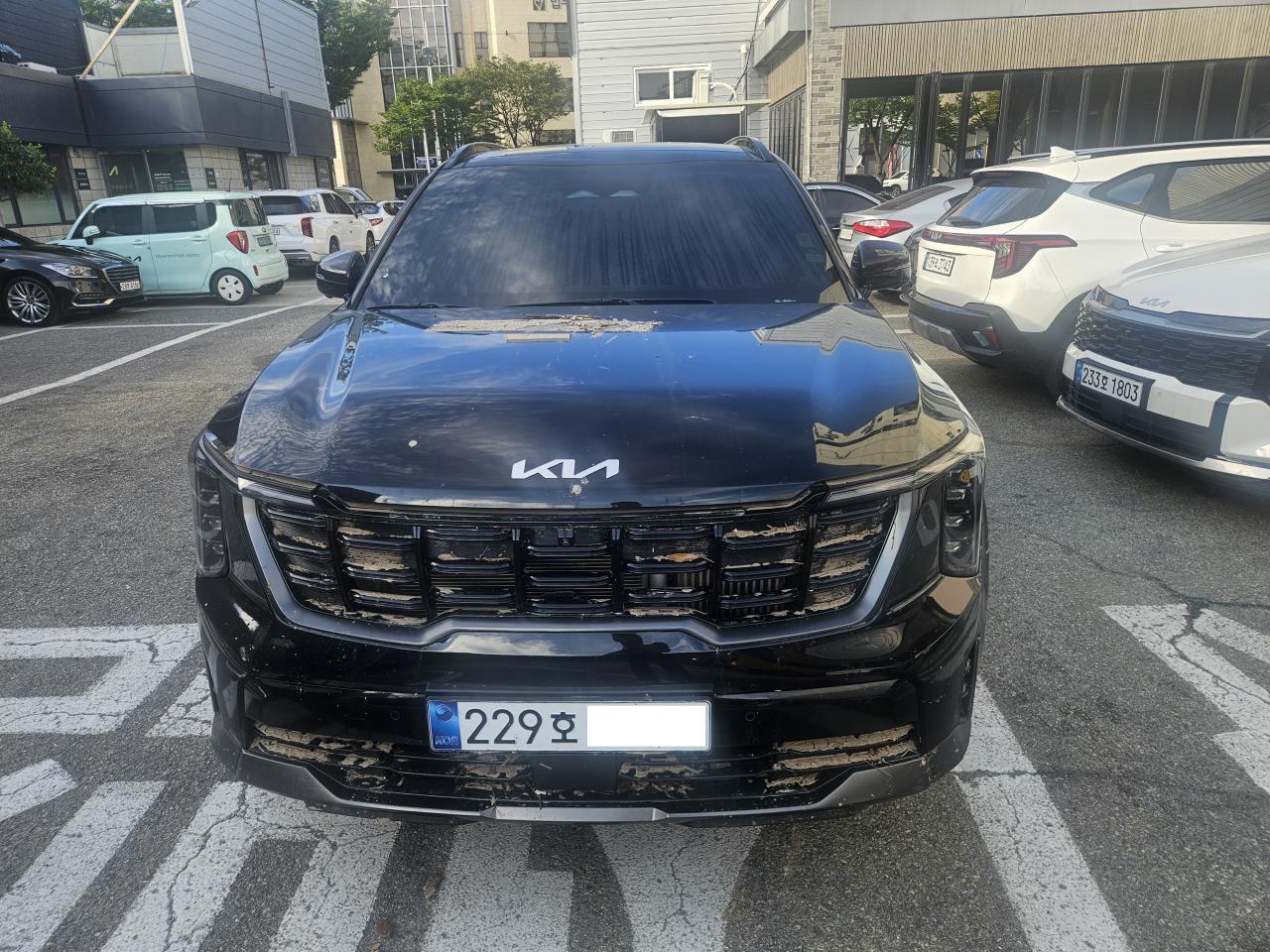 챠량이미지