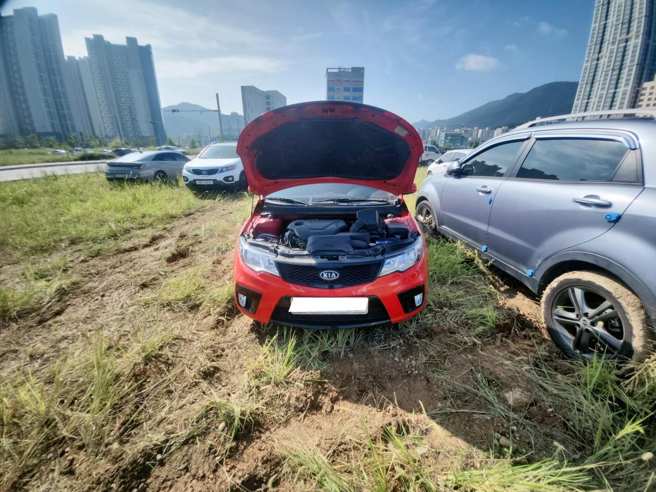 챠량이미지