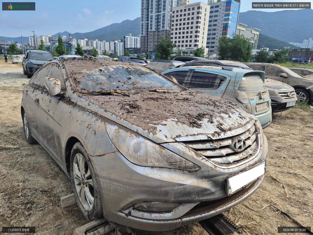 챠량이미지